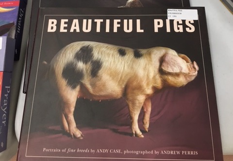 beautiful pigs London Book Fair 2016