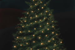 1_Christmas_tree_warm