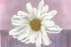 Daisy