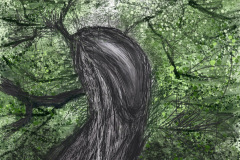Roughtinglinn Tree