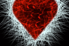 Valentine Red Heart on White and Black