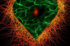 Valentine Green Heart