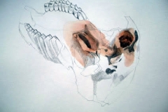 sheepskull-3