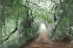 Woodland Path