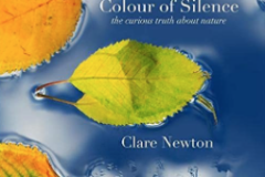 Colour-of-Silence-Clare-Newton