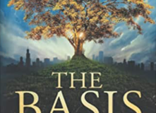 The-Basis-Ismail-Farooqui